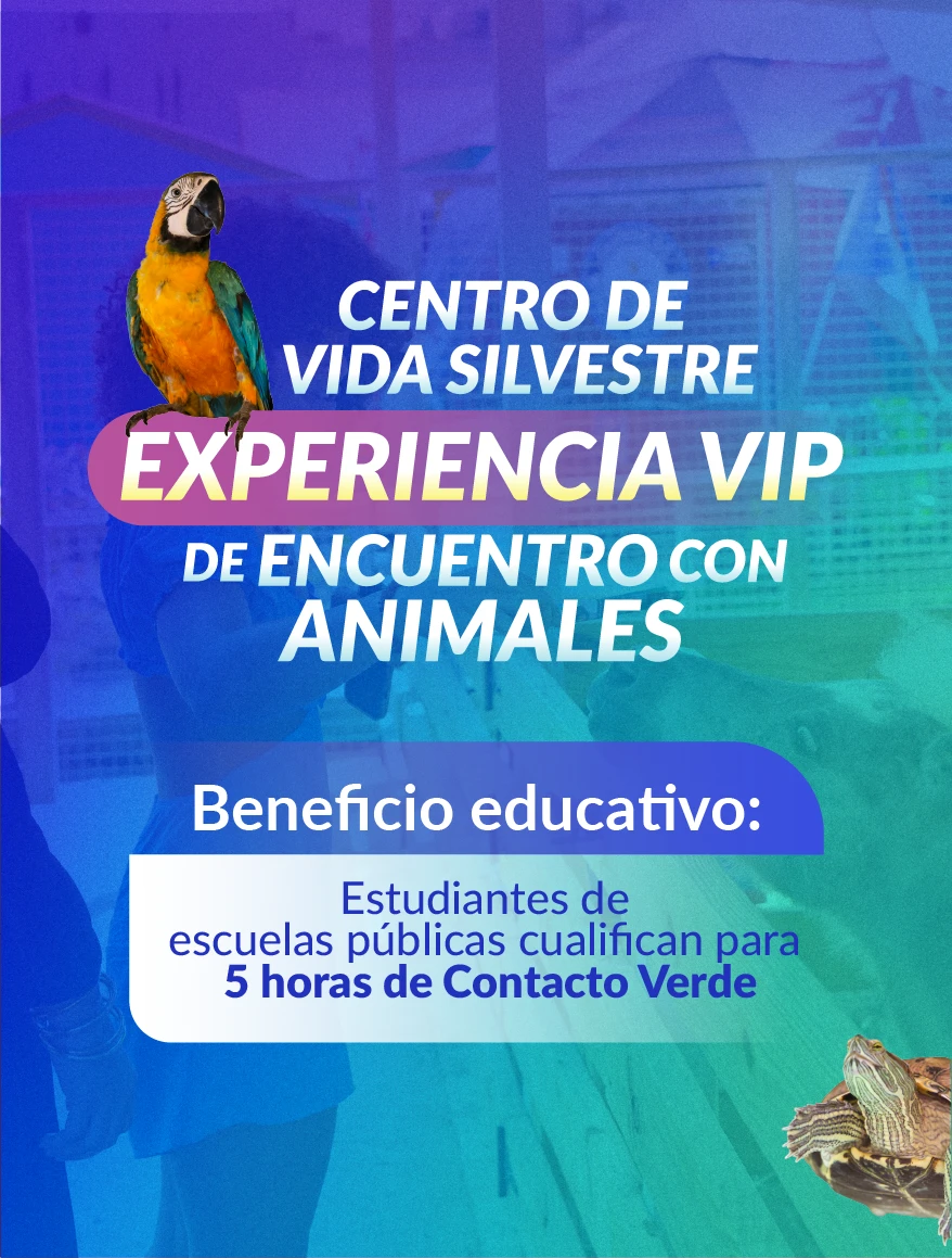 Centro de Vida Silvestre — Experiencia VIP de Encuentro con Animales