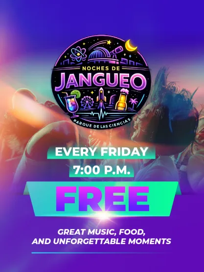 JANGUEO NIGHTS