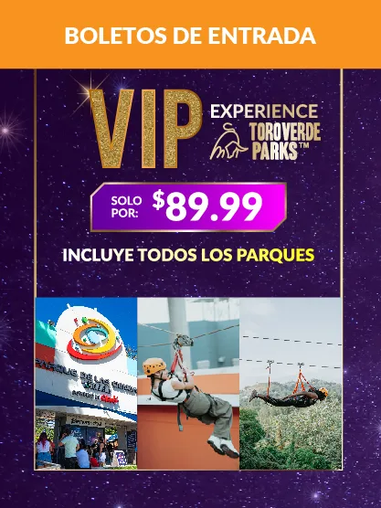 VIP EXPERIENCE